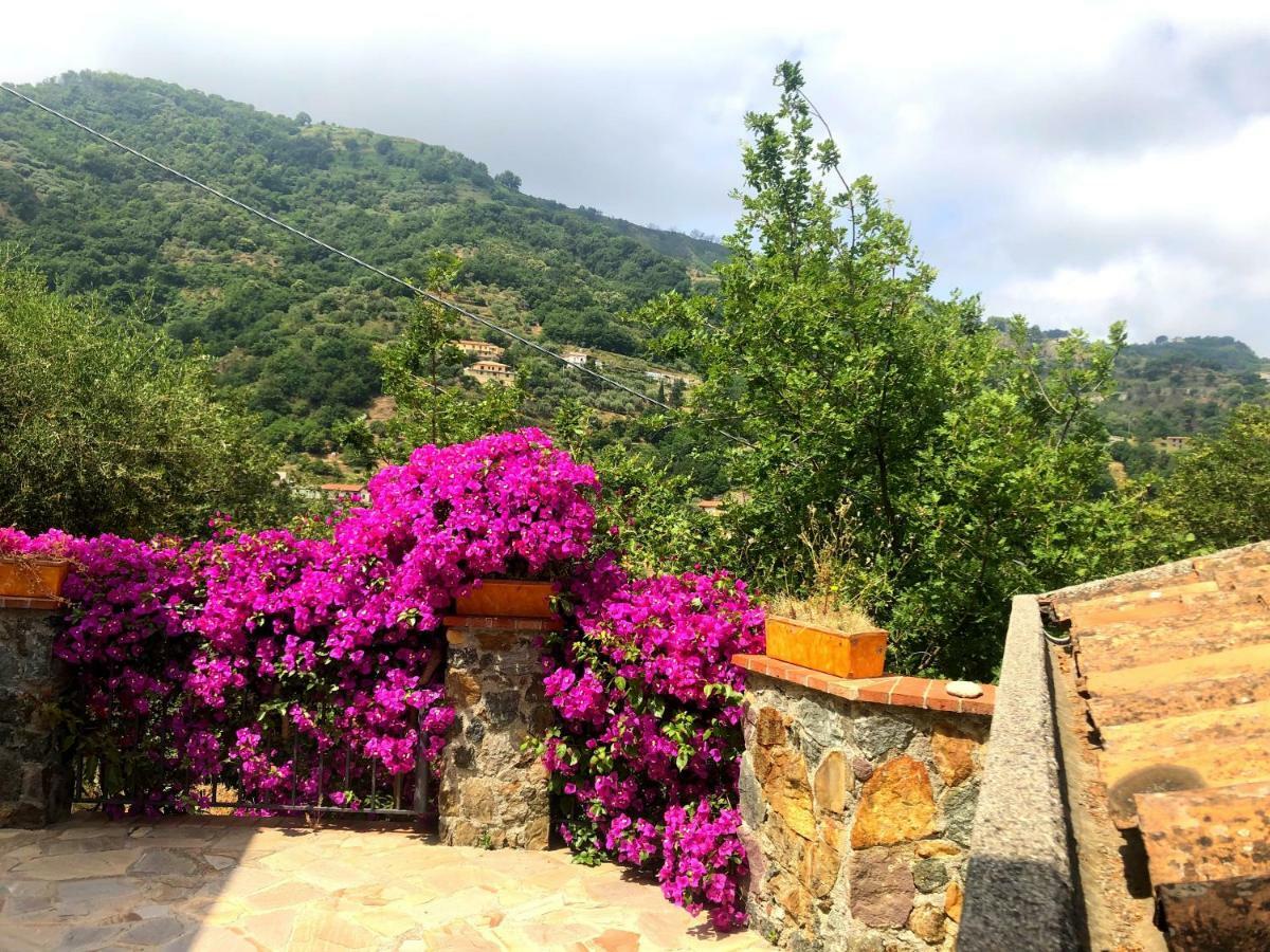 Borgo San Francesco Hotel Gioiosa Marea Exterior photo